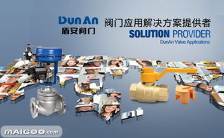 盾安dunan 信息科技领域的创新驱动者与技术解决方案专家