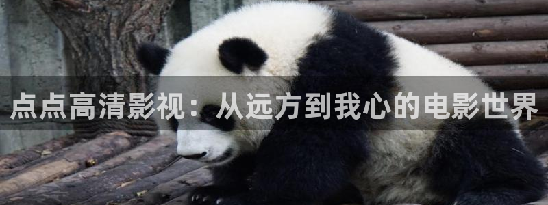 全极速影院