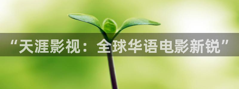 极速在线电影