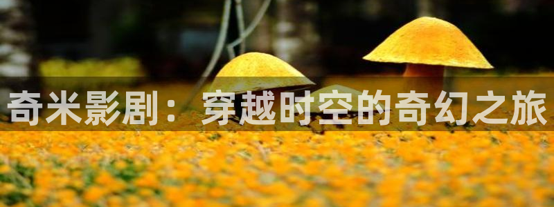 极速影院最新