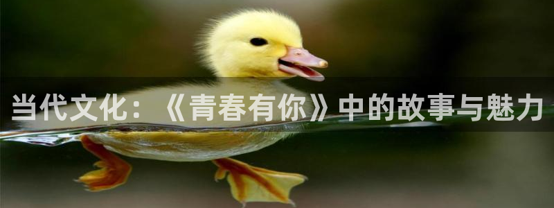 全极速影院
