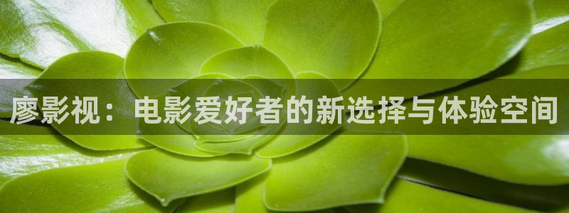 极速影院在线观看完整版高清