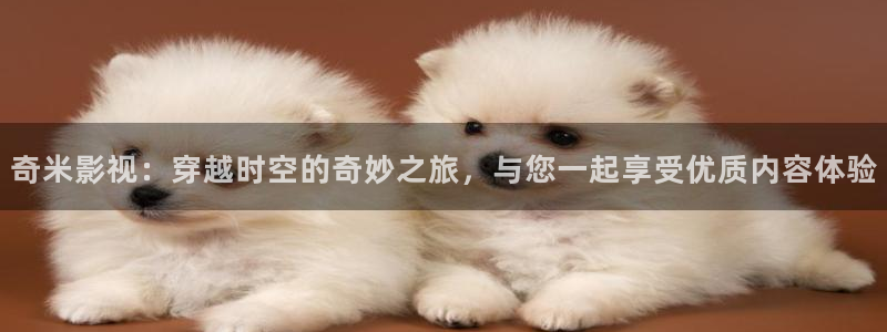 南瓜电影极速版：奇米影视：穿越时空的奇妙之旅，与您一起享受优质内容体验