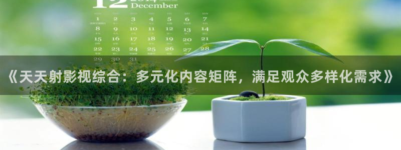 极速影视网