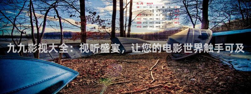 极速影院在线免费观看：九九影视大全：视听盛宴，让您的电影世界触手可及