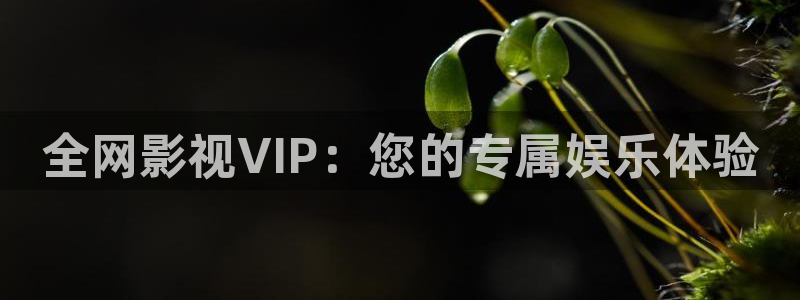 火火视频极速版新版