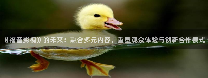 骑士影院在线观看免费高清电视剧极速