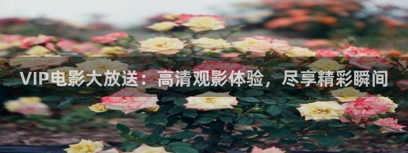 电影极速酷客